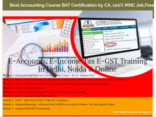 Free Accounting Course in Delhi, 110028, with Free SAP Finance FICO by SLA Consultants Institute in Delhi, NCR, Finance Analytics Certification