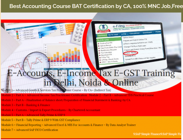 free-accounting-course-in-delhi-110028-with-free-sap-finance-fico-by-sla-consultants-institute-in-delhi-ncr-finance-analytics-certification-big-0