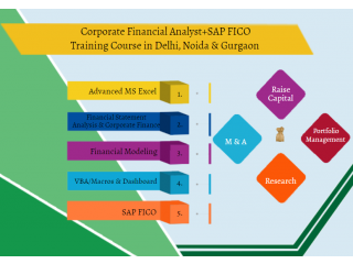 Financial Modelling Training Course in Delhi,110092. Best Online Live Financial Analyst Training in Kolkata by IIT Faculty , [ 100% Job in MNC]