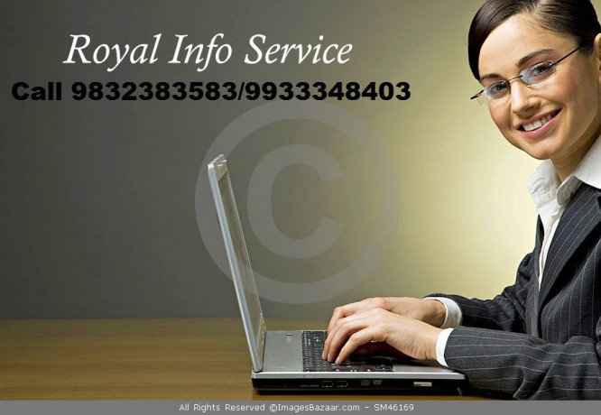 royal-info-service-offered-big-0