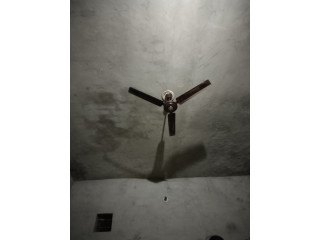 Celling fan